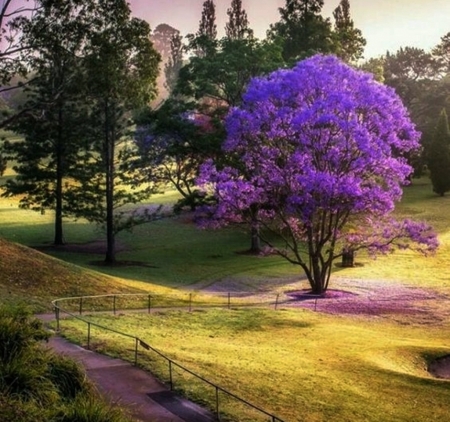 spring in forest - Mountains & Nature Background Wallpapers on Desktop ...