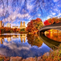 Bridge Reflection on the Lake