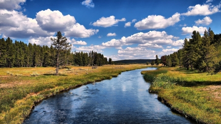 Grizzly River - clouds, river, trees, nature, grizzly, forest