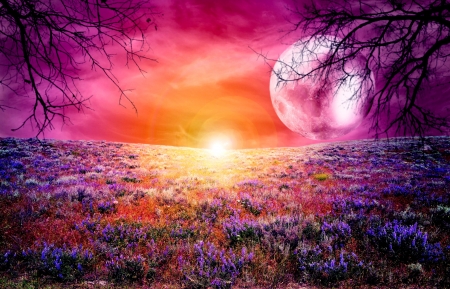 Pink Moonrise - moon, sky, flowers, pink