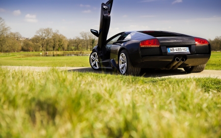 lamborghini murcielago - murcielago, field, lamborghini, grass