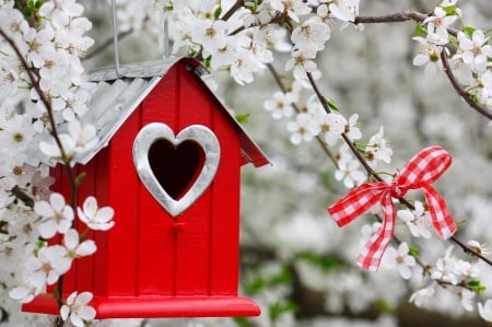 Spring beauty - blooming, freshness, fragrance, flowering, spring, blossoms, pretty, beautiful, scent, ribbon, tree, birdhouse