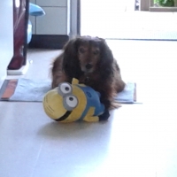 my best friend