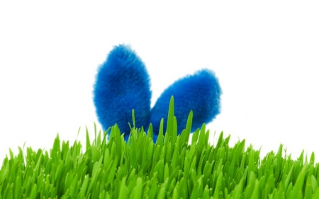 Bunny Ears - ears, easter, grass, blue