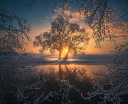 Wonderful sunset - winter, sunset, tree, amazing