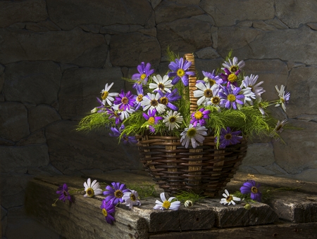 Still Life - table, white, flower, purple