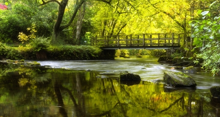 Forth Bridge - trees, river, river forth, forth bridge, moss, bridge, scotland, rocks