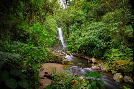 Forest waterfall - greenery, trees, summer, beautiful, creek, stream, forest, tree, brook, waterfall, serenity