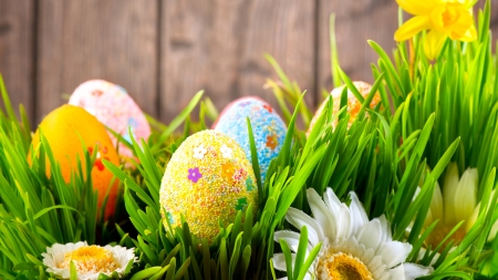 Spring Blooms and Eggs - eggs, spring, grass, floers, fence, Easter