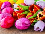 Easter Eggs and Tulips