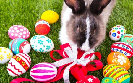 Happy Easter - eggs, decorated, Easter, bunny