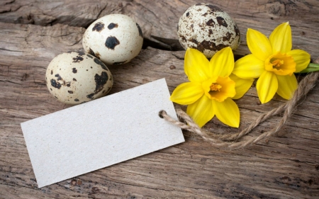 Happy Easter - easter, flowers, eggs, wood