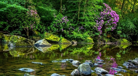 Spring park - greenery, trees, pond, spring, forest, reflection, stones, calmness, flowers, bush, serenity, plants, lake, park