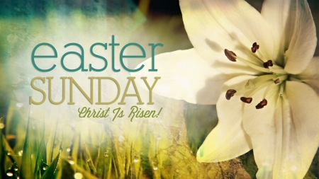 Easter ~ Christ Is Risen