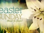 Easter ~ Christ Is Risen