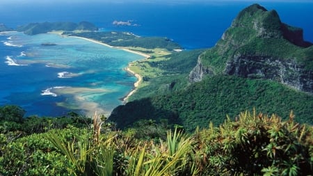 Lord Howe Island - forest, landscape, island, howe, ocean, nature, tasmania