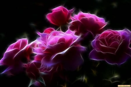 pink beauty - beauty, wallpaper, flowers, pink