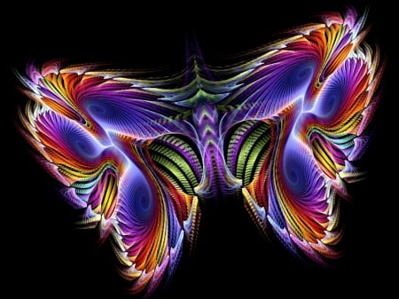 butterfly - butterfly, abstract, beauty, colorful