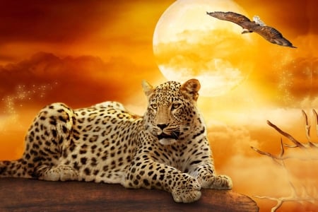 Leopard~Under A Golden Sky - painting, sky, leopard, eagle, animals, sun, golden, fantasy