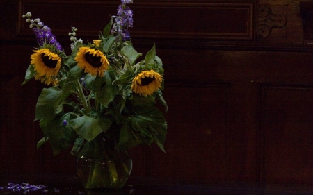 Still Life - plants, flowers, sunflowers, still life