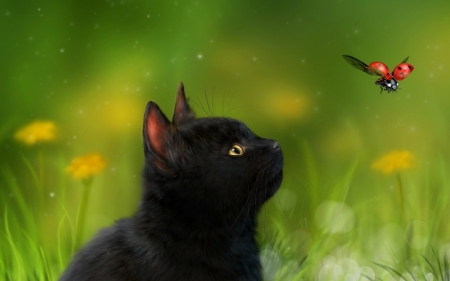 Black kitten - ladybug, spring, flower, cat, black, pisica, animal, red, green, digital, cute, alenaekaterinburg, art, luminos