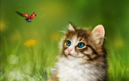 Kitten - cat, blue eyes, pisica, fantasy, spring, kitten, ladybug, art, luminos, animal, green, digital, cute, flower, alenaekaterinburg