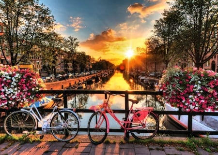 Bicylcles in Amsterdam FC - netherlands, wide screen, holland, photography, beautiful, bicycles, photo, amsterdam