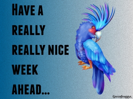 REALLY NICE WEEK - comment, card, week, nice