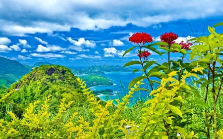 Amazing Green Landscape - nature, sky, landscape, clouds, green, mountains, flowers