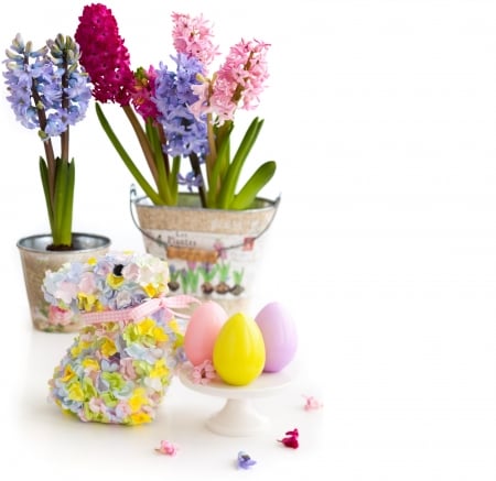 Still life - eggs, purple, blue, easter, flowers, hyacinth