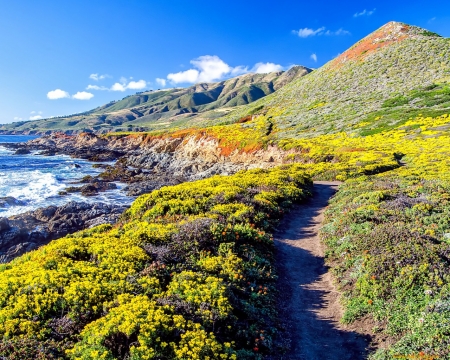 Mountain Path - path, quiet, hills, nature, landscape, meadow, ocean, mountain