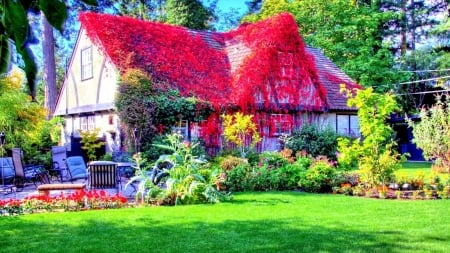 Flowers Bloom on the Roof - houses, trees, landscape, paradise, spring, nature, green, splendor, flowers