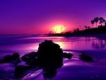 Purple Sunset