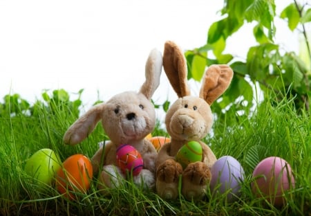 Easter Bunnies - easter, spring, easter bunnies, eggs, rabbits, easter eggs, bunnies, leaves, grass