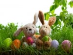 Easter Bunnies