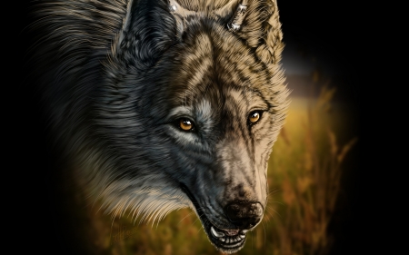 Wolf - wolf, black, wolfroad, lup, fantasy, animal, digital, art, luminos