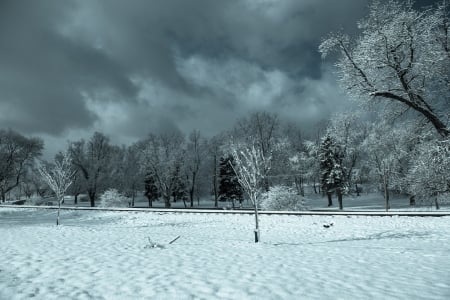 Winter in Ohio - winter in ohio, beautiful winter, winter trees, winter hd