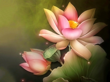 Soft & Sweet - flowers, lotus, nature, summer, paintings, spring, love four seasons