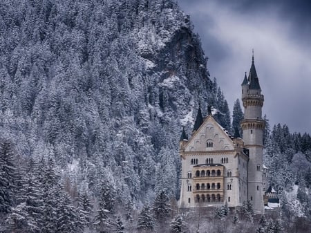 Neuschwanstein Castle, Germany - mountain, trees, landscape, winter, tower, nature, forest, castle, snow, rock