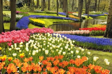 Spring Garden - flowers, spring, trees, garden