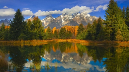 lake - lake, forest, cool, fun, nature, mountain