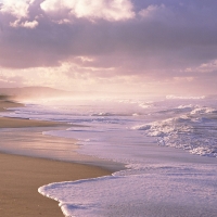 Beach and Ocean Meet Under the cloudy Sky