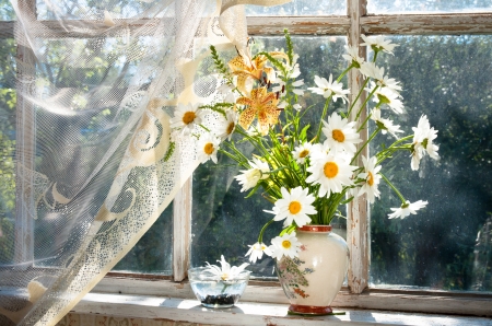 Flowers in the window - pretty, beautiful, window, spring, cozy, lovely, still life, bouquet, home, flowers, daisies, rural