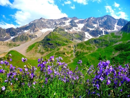 Mountain View - nature, sky, mountain, flower