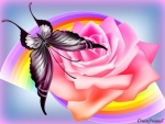 BUTTERFLY AND ROSE