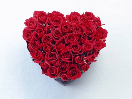 Heart-shaped red rose bouquet - Rose, Red, Blooms, Blossoms, Petals