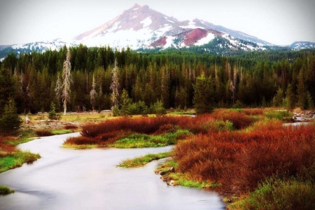 Beautiful Mountain View - trees, water, mountains, autumn