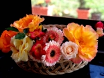 flower basket