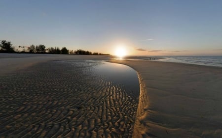 Tanziana Beach Sunset - beach, trees, naturembeach, sunset, coast