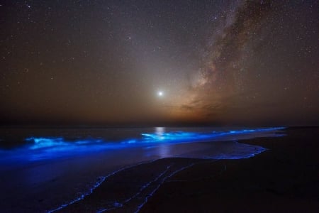 Night Glows - moon, nature, fun, ocean, beach, stars, cool